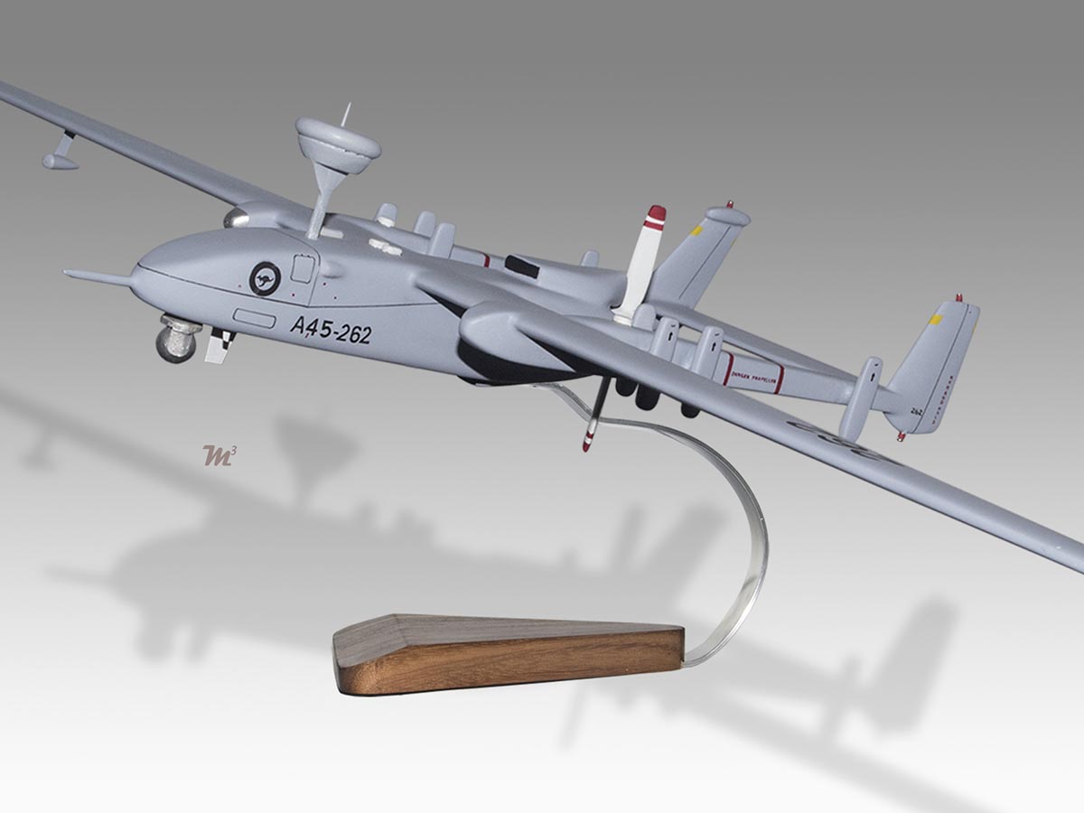 Iai uav online